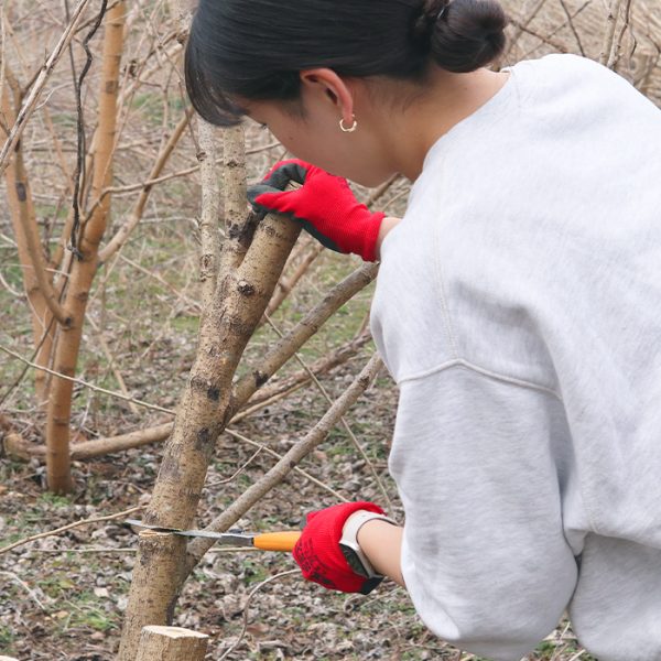 養蚕業復興を願って～犬山かいこ～んプロジェクト2024年2月17日～